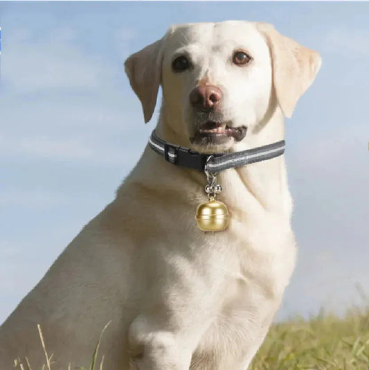 Gold pet GPS tracker with a sleek design and durable casing for pet