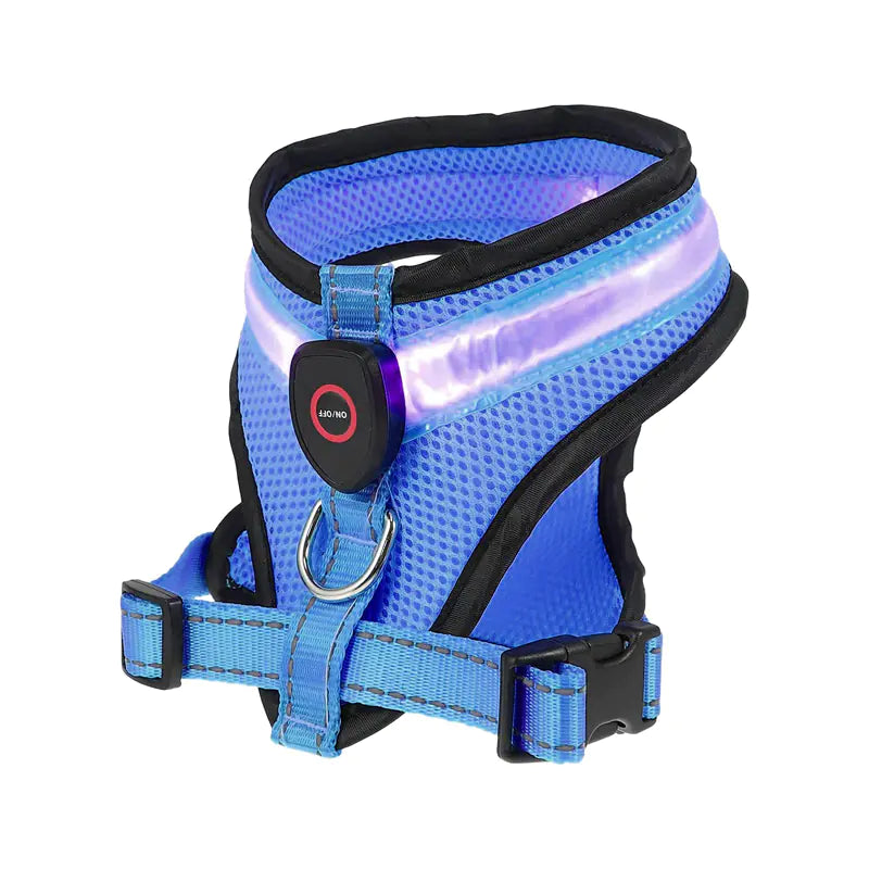Rechargeable LED dog harness in blue with reflective light strip for nighttime safety