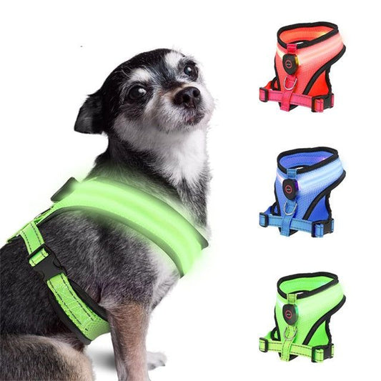 Rechargeable LED dog harness in various colors for enhanced visibility during nighttime walks