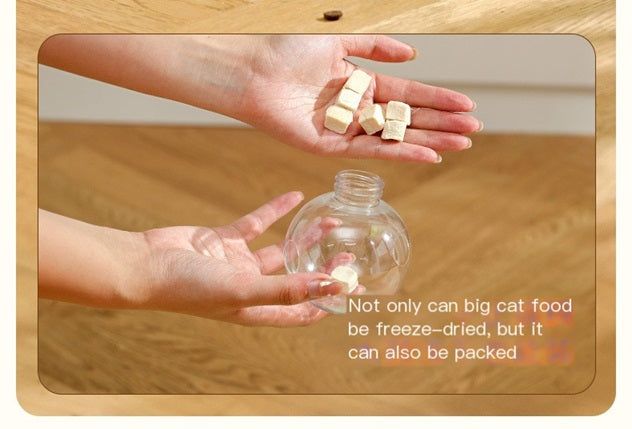 Transparent leaky ball cat toy filled with cat treats for interactive play and entertainment