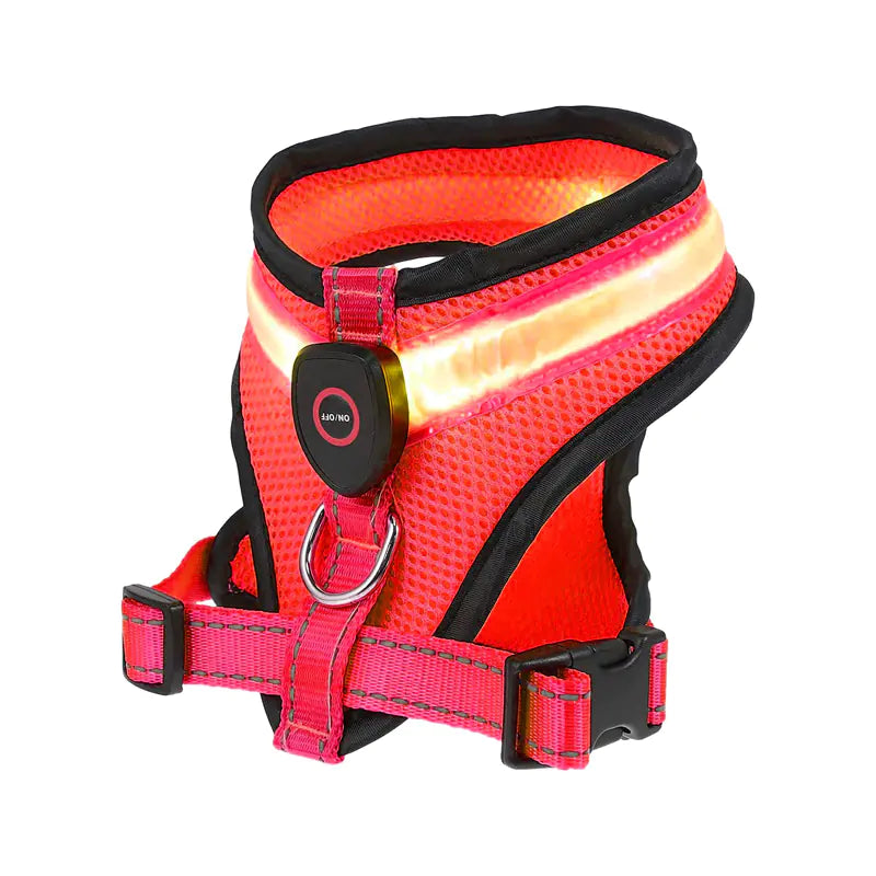 Bright and adjustable rechargeable LED dog harness for nighttime visibility and safety