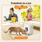 Gizmo Gadgets smart pet food dispenser in use with a cat eating and people enjoying outdoor activities